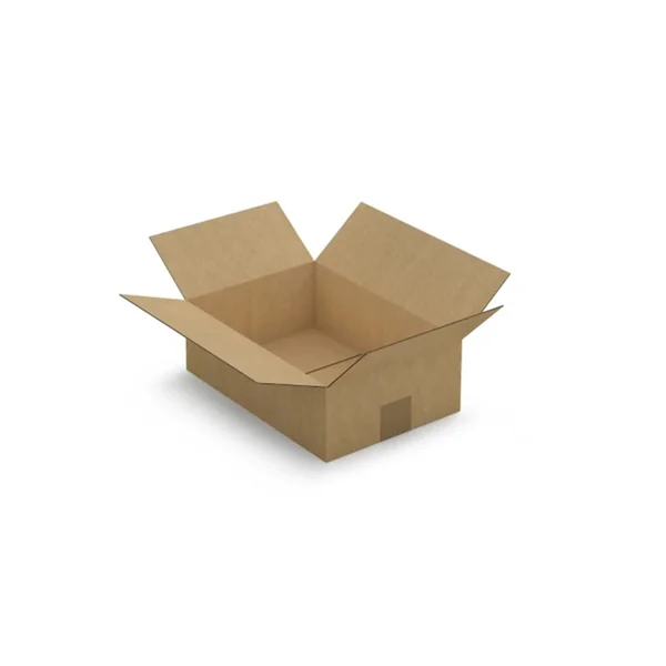10 cajas de cartón 31 x 21,5 x 10 cm - Flauta simple
