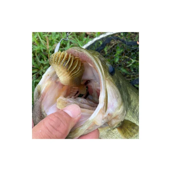 Bellows Gill Swimmer 3.2 - Imagen 4