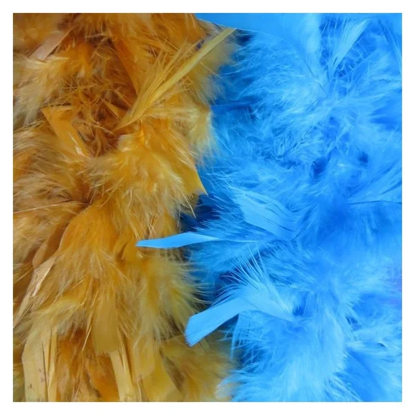Boa plumas