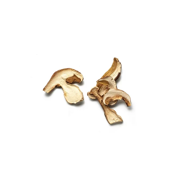 Boletus edulis (cep) deshidratado