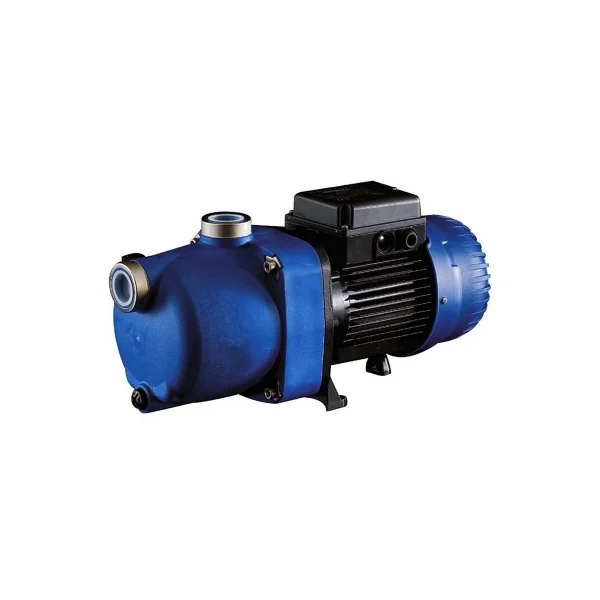 Bomba de impulsión POLARIS 1cv- W4530248