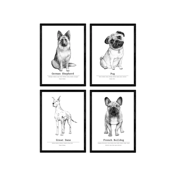 Conjunto de Pósters NACNIC (21 x 29.7 cm)