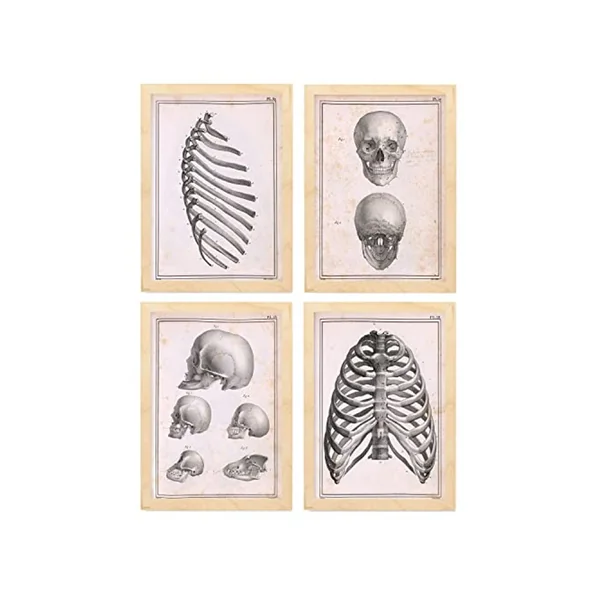 Conjunto de Pósters NACNIC (29 x 42 cm)