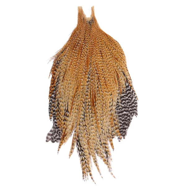 Cuello de Gallo Metz Calidad Premium Grado Bronce