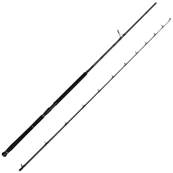 Defiance SG2 Shore Jigging 305 H 60-150g