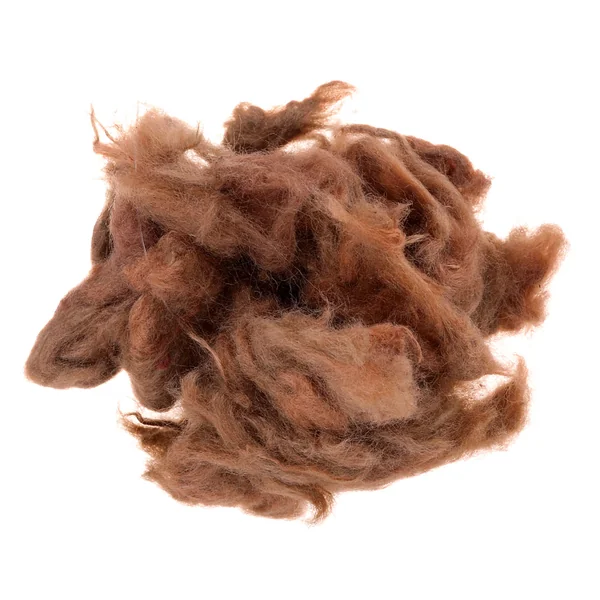 Doblaje Semperfli Kapok