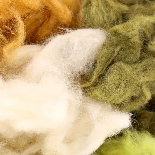Doblaje Semperfli Kapok - Imagen 3