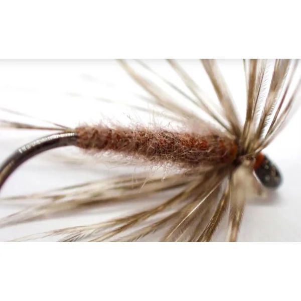 Doblaje Semperfli Kapok - Imagen 5