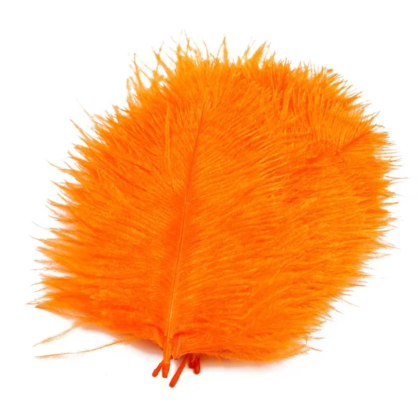 Frödin Flies SNS Plumas de Avestruz Hackles
