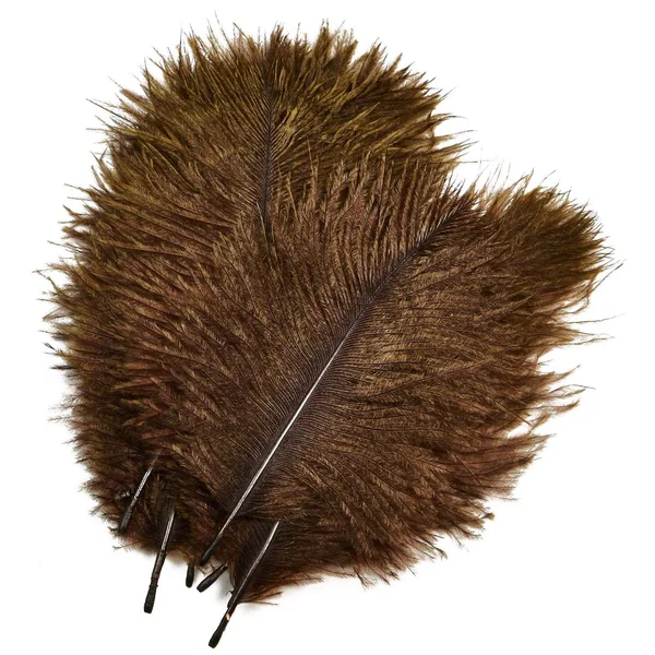 Frödin Flies SNS Plumas de Avestruz Hackles - Imagen 4