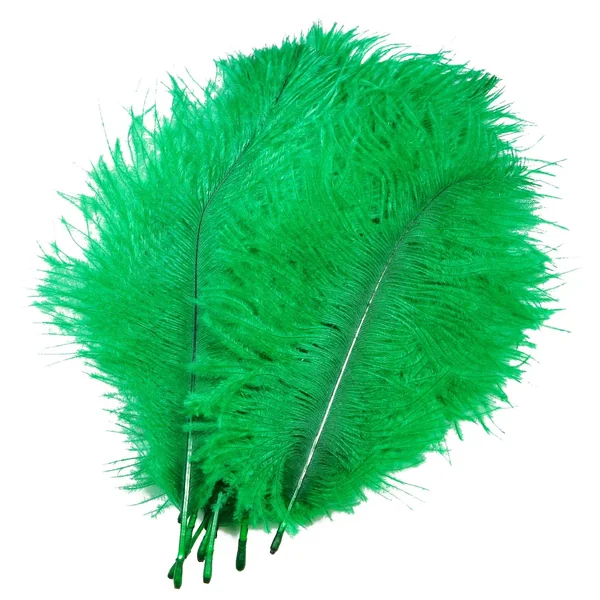 Frödin Flies SNS Plumas de Avestruz Hackles - Imagen 5