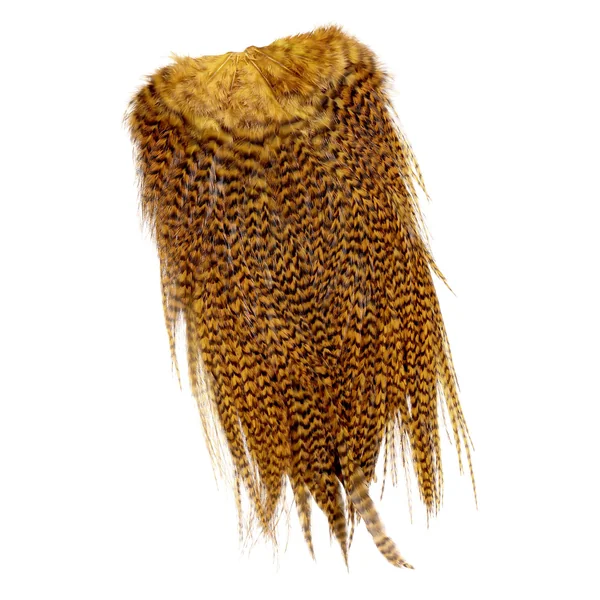 Future Fly Gallo de agua dulce Silla Grizzly