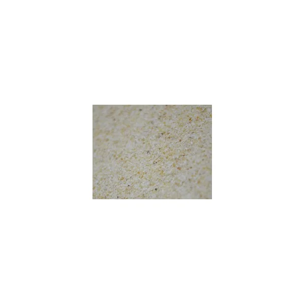 GARLIC POWDER 500GR MASSIVE BAITS