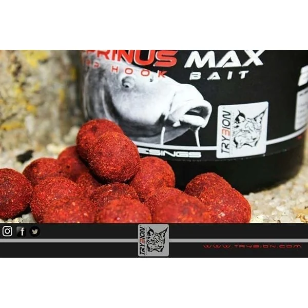 HOOK BAITS CYPRINUS MAX 20MM 220GR TRYBION