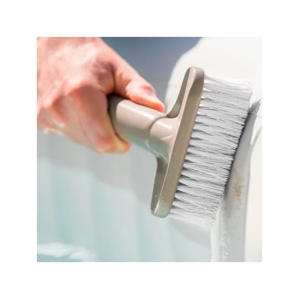 Kit mantenimiento INTEX spa + 2 cepillos y 1 malla - Imagen 4
