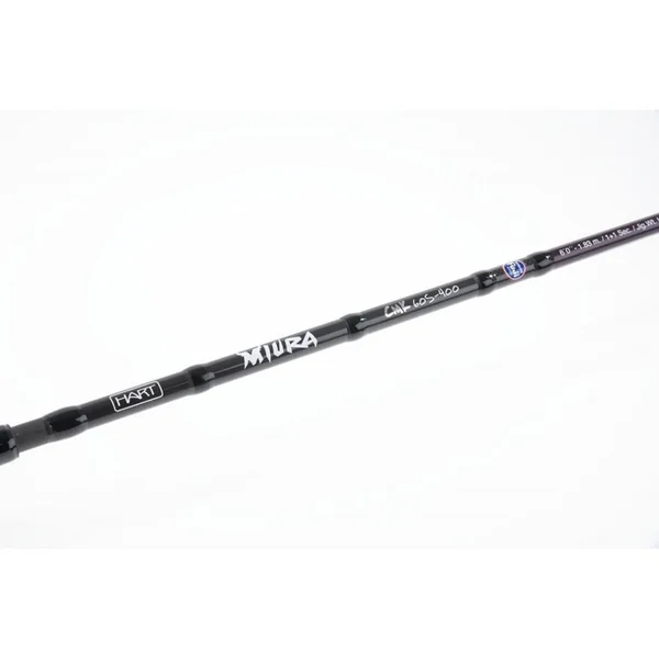 Miura CMK 60S-250 - Imagen 2