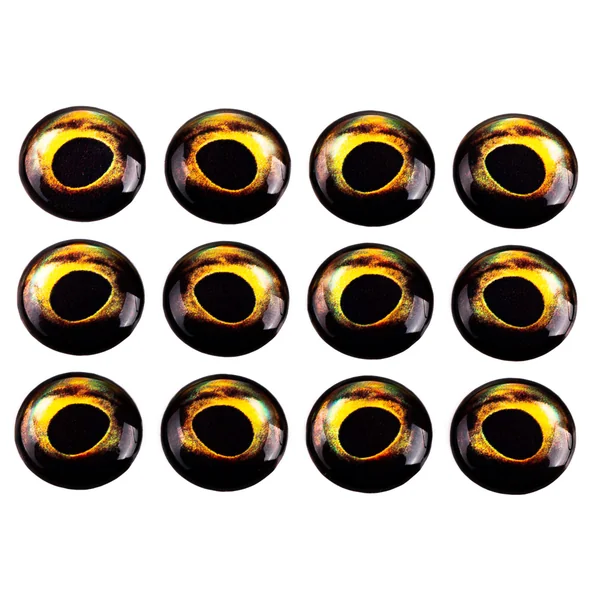 ojos 3D de epoxi ojos de pez