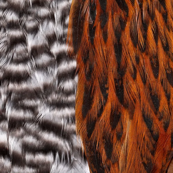 Pack Whiting Introductory Soft Hackle - 2 Half Capes/2 Half - Imagen 2