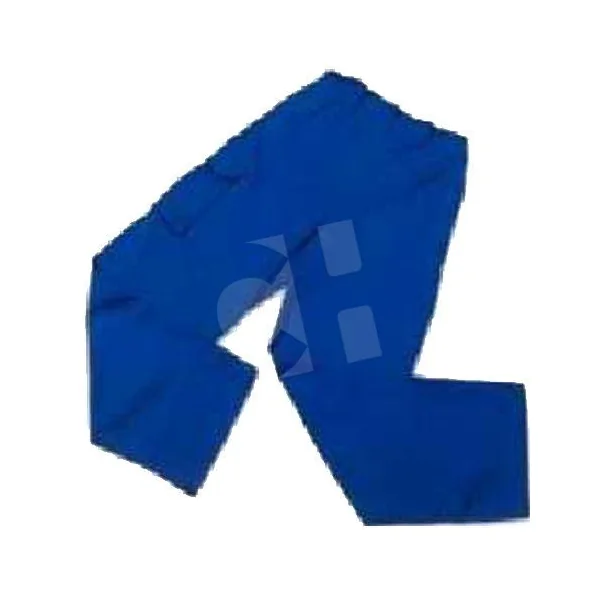 PANTALON ESPECIAL AZUL T-46/48