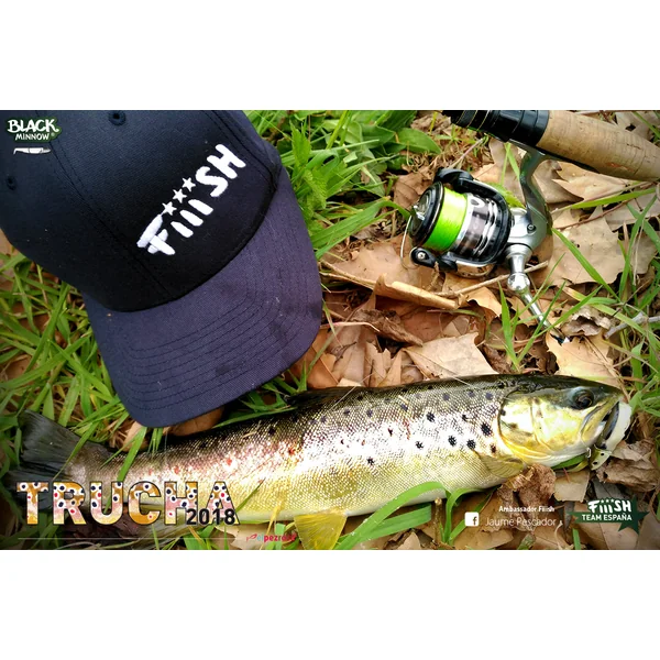 Pescar truchas con Black Minnow