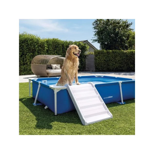 Piscina desmontable rectangular para perros con depuradora y rampa - Imagen 2