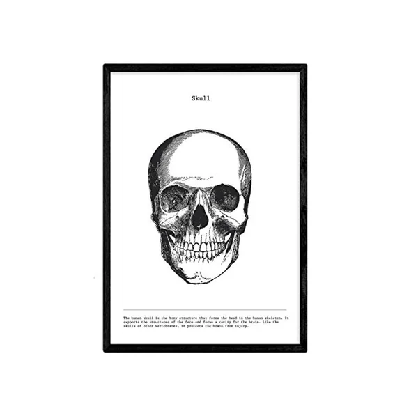 Poster NACNIC (A3)