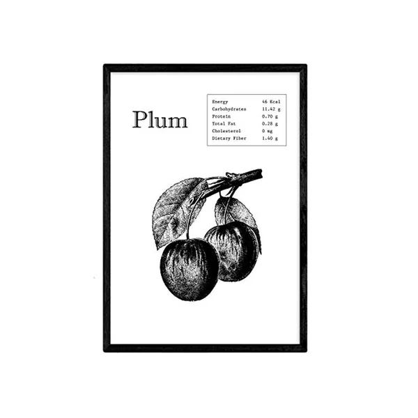 Poster NACNIC de Plum (A4)