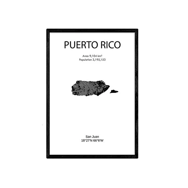 Poster NACNIC de Puerto Rico (A3)