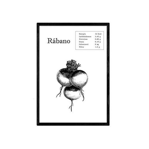 Poster NACNIC de Rábano (A4)
