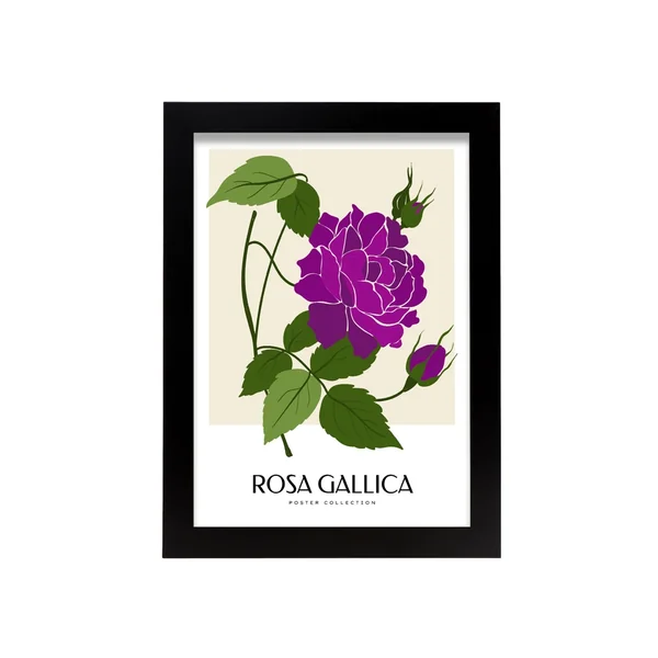 Póster NACNIC Pop Art Abstracto. Rosa Gallica