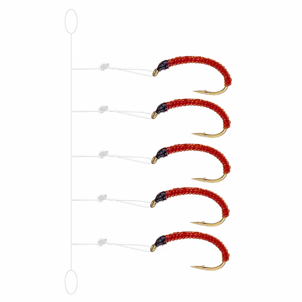 Renken 5er Hegene rojo slim