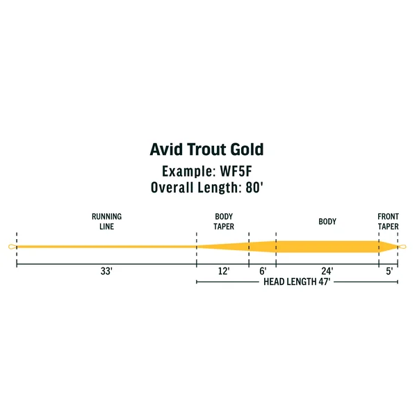 Rio Avid Trout Gold línea de mosca oro - Imagen 2