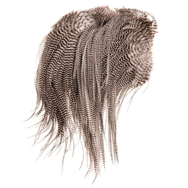 Silla Keough Grizzly Natural
