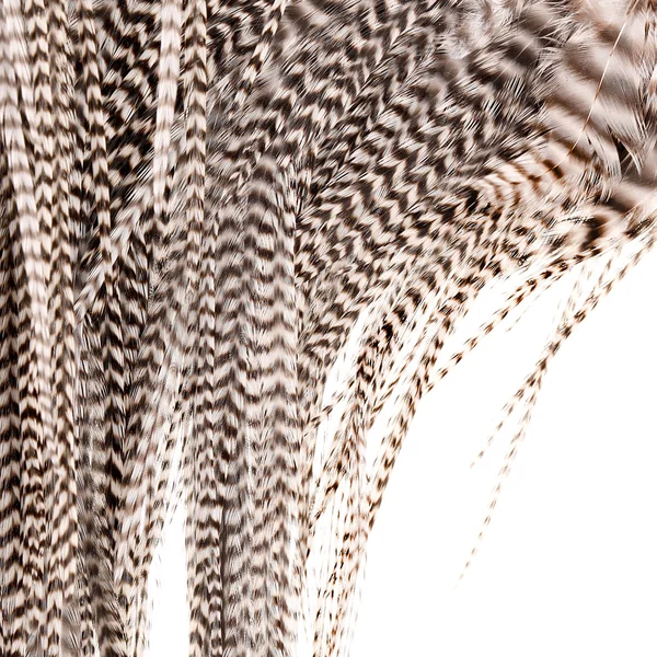 Silla Keough Grizzly Natural - Imagen 2