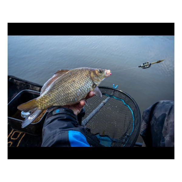 Sonubaits Micro Band'Um Salted Caramel - Imagen 3