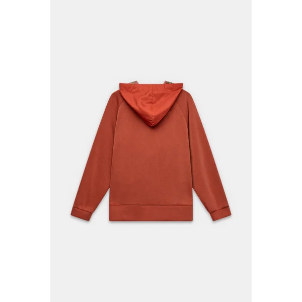 Sudadera de manga larga y capucha - Imagen 3