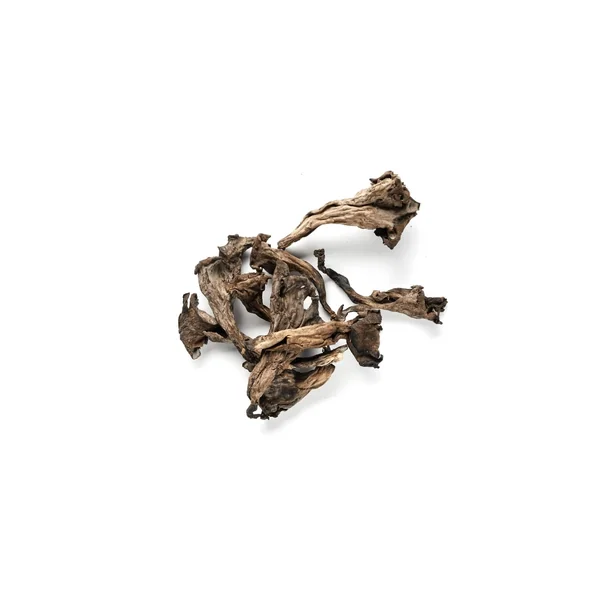 Trompeta de la mort deshidratada