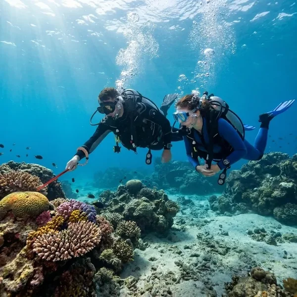 Varilla señalizadora para buceo - Imagen 6