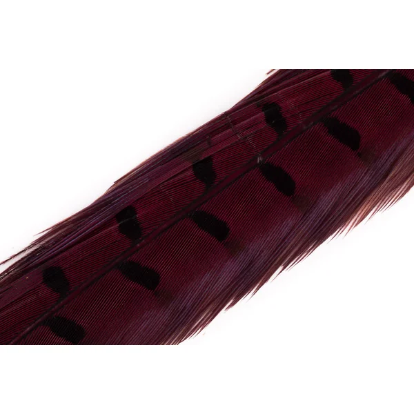 Veniard Colas de Centro de Faisán - Pluma de cola de faisán de caza