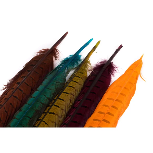 Veniard Colas de Centro de Faisán - Pluma de cola de faisán de caza - Imagen 4