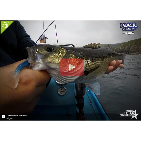 Video de Lubinas a spinning en la costa Gallega