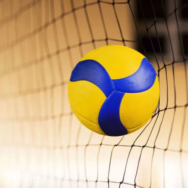 Voleibol de playa tamaño 5 - Imagen 2