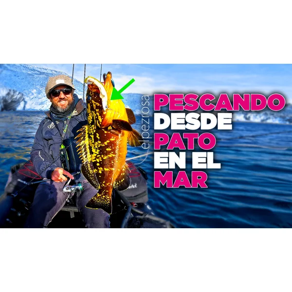 Vídeo: Pescando desde pato en el Mar