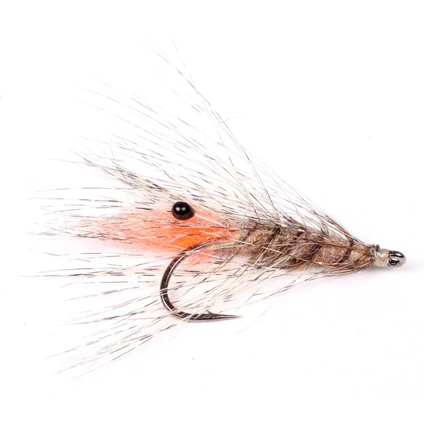 Whiting Coq de Leon Cabo Tejón teñido - Imagen 4