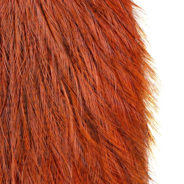 Whiting Coq de Leon Cabo Tejón teñido - Imagen 6