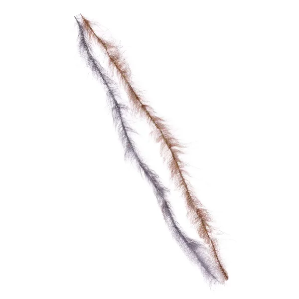 Wurm Streamer Cepillo pelo corto 35 cm - Imagen 3